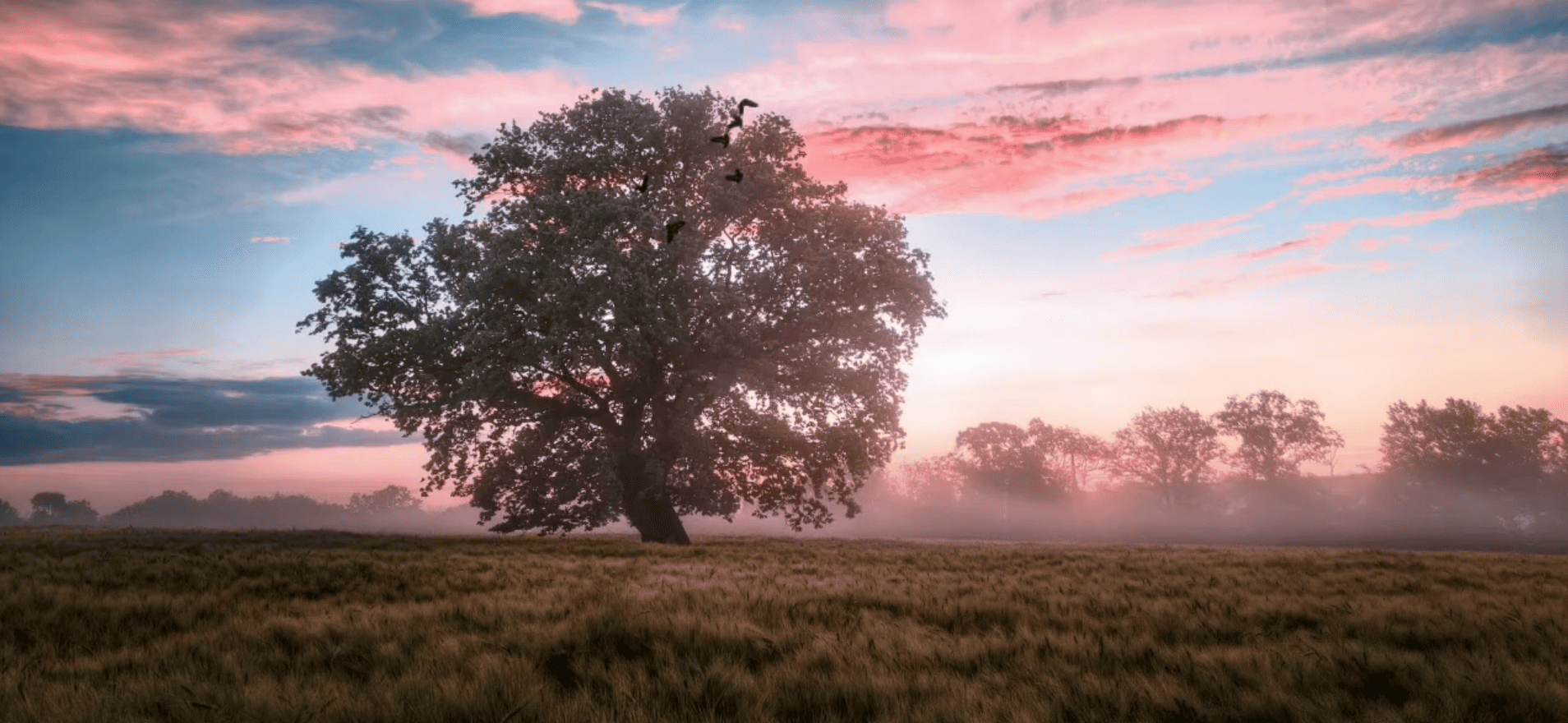 Photo de SARL BATAILLE - LEPLUMEY